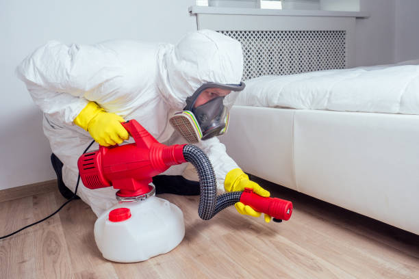 Best Real Estate Pest Inspections  in Cortland, OH